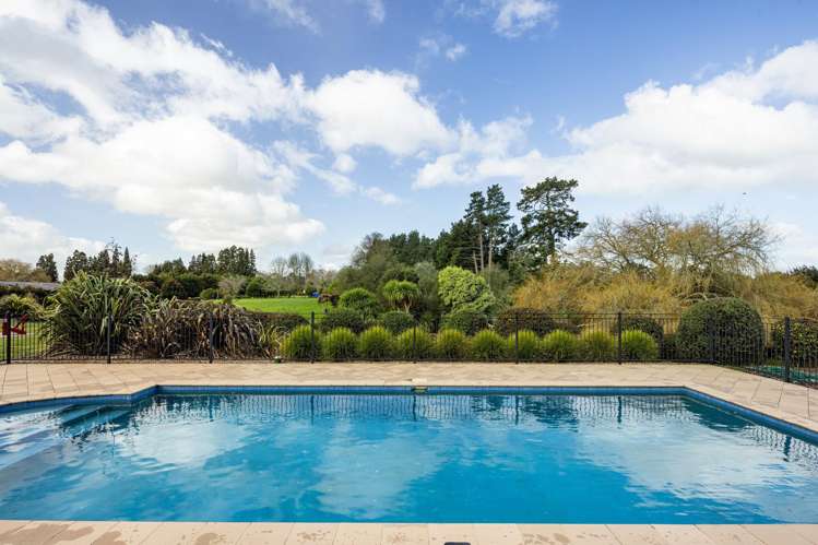 94b Fuchsia Lane Matangi_5