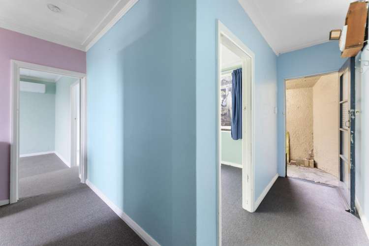 221 Tomahawk Road Andersons Bay_11