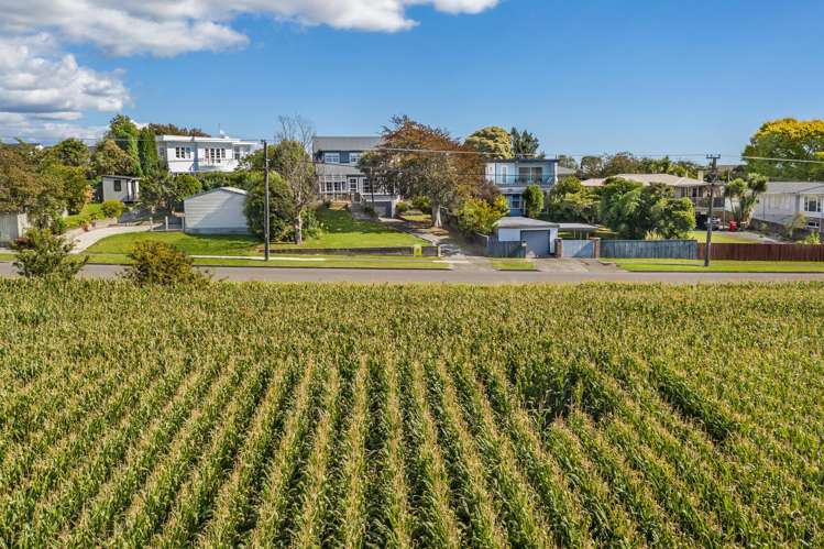 83 Kawiu Road Levin_27