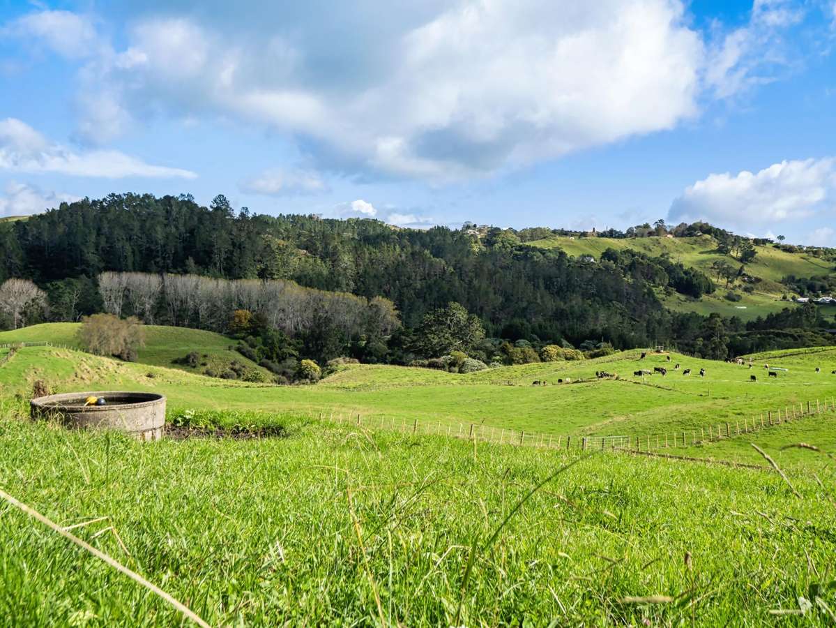 Lot 2,164C Crawford Road_4