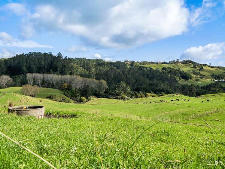 Lot 2,164C Crawford Road Te Puna_8