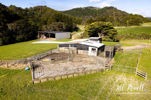 Lot 2/675 Gorge Road Maungaturoto_1