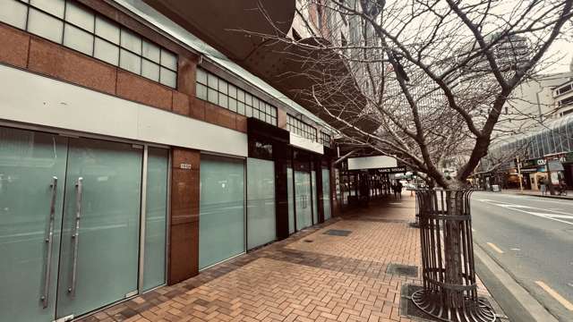 195 Lambton Quay Wellington Central_3