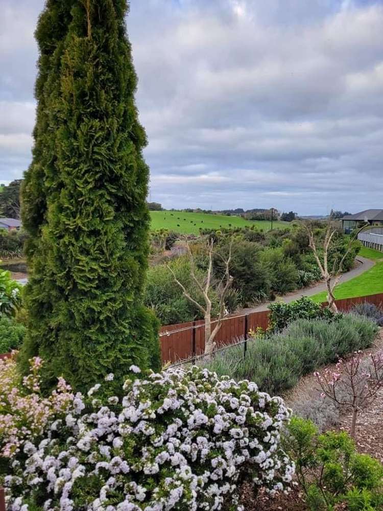 28 Helenslee Road Pokeno_20