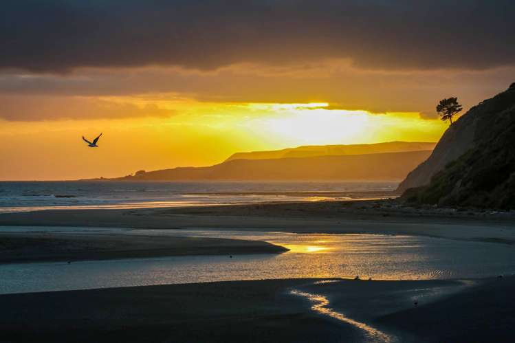 177 Mahia East Coast Road Māhia_26