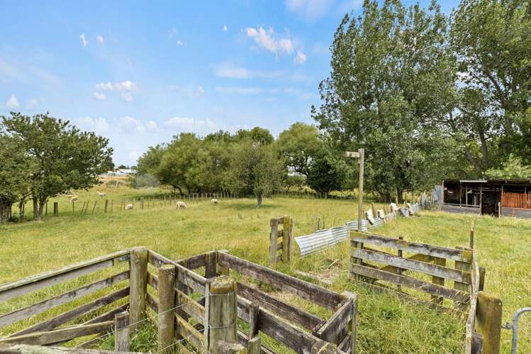 38 Kensington Road Marton_15