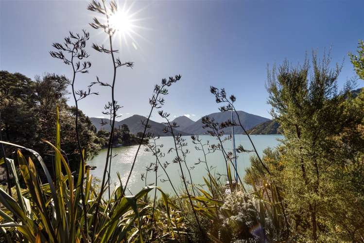 577 Queen Charlotte Drive Havelock_8