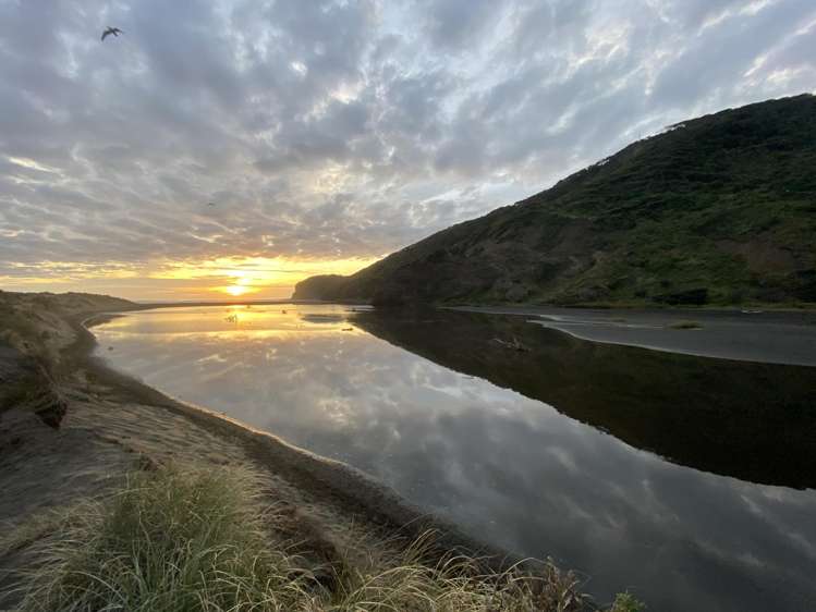 8 Erangi Place Bethells Beach_49