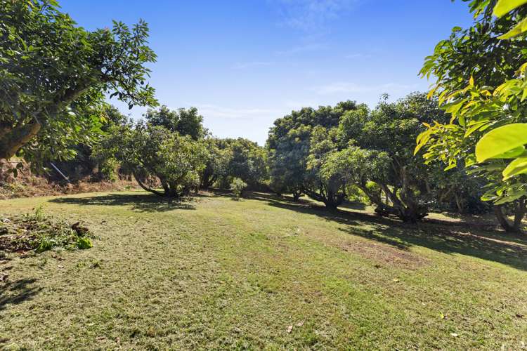 86a Te Puna Road Te Puna_24