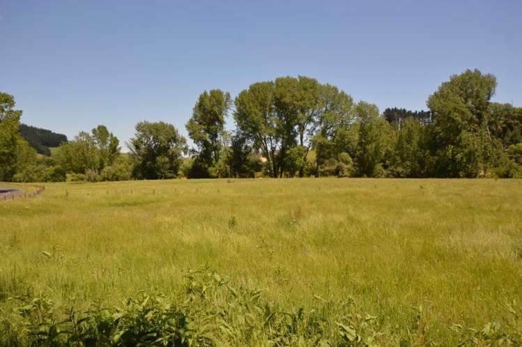 240 Ongarue Back Road Taumarunui_17