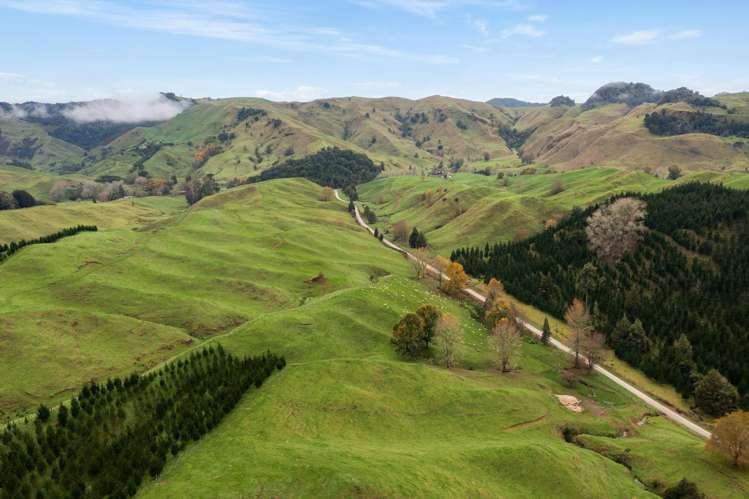 124 Haku Road Mangaotaki_8