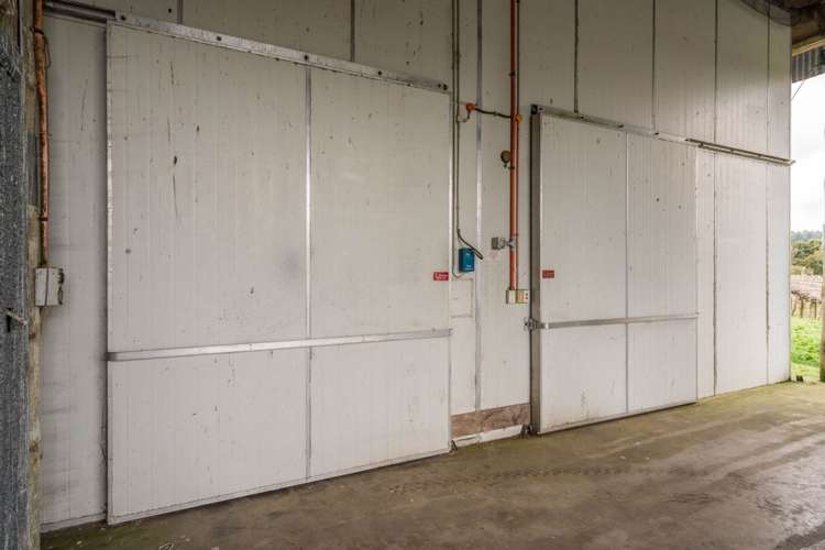 448 Ngunguru Road Glenbervie_23