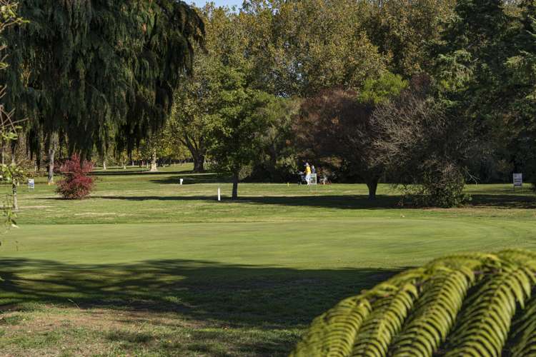 31a Girling Avenue Mayfield_20