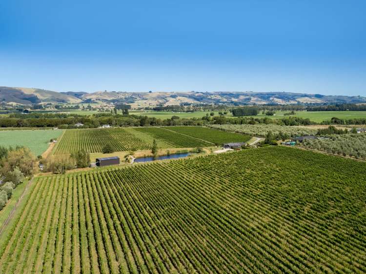 224 Dakins Road East Taratahi_26