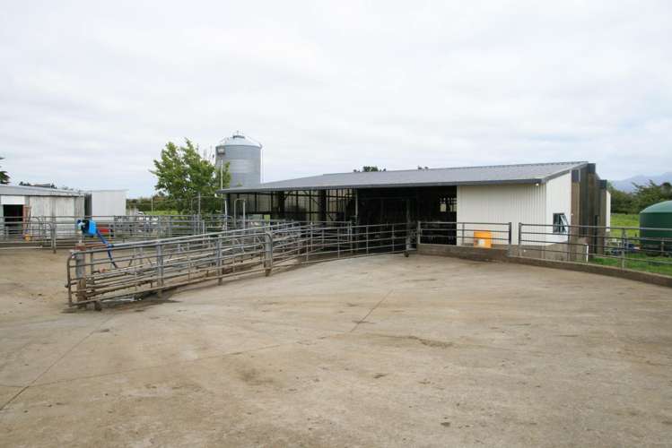 319 Dudley Road Upper Inglewood_5