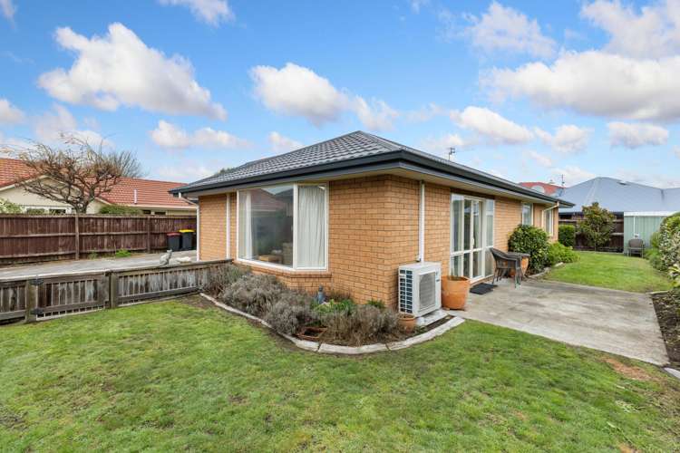 81 Fairway Drive Shirley_12