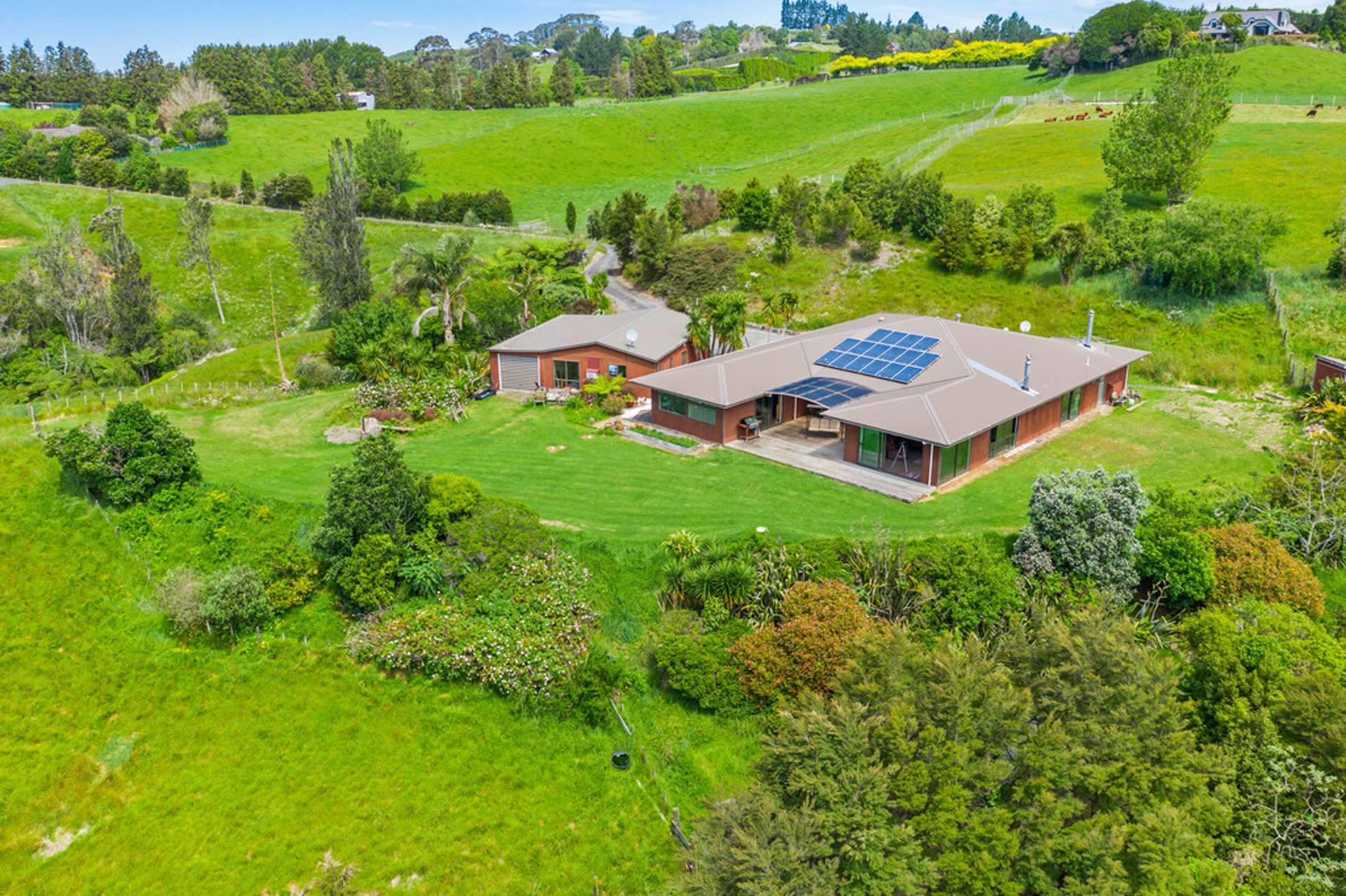 352 Wainui South Road Whakamarama_0