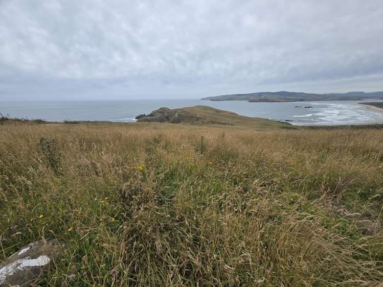 Cannibal Bay Rd Catlins Surrounds_11