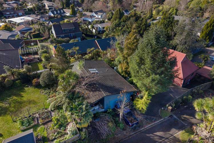 56A Moncur Drive Springfield_11