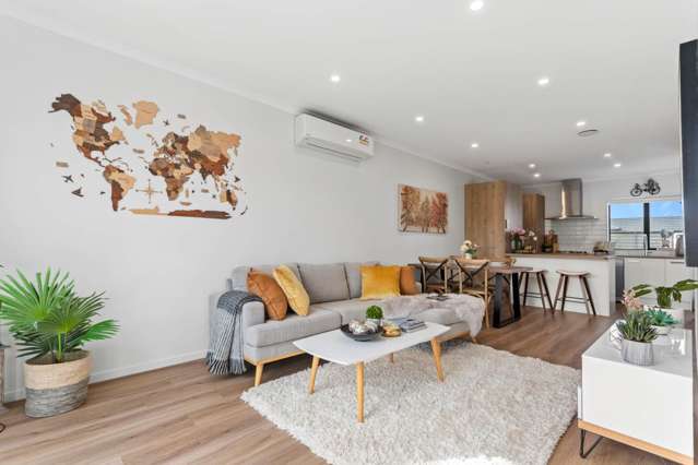 20 Nganui Avenue Takanini_1