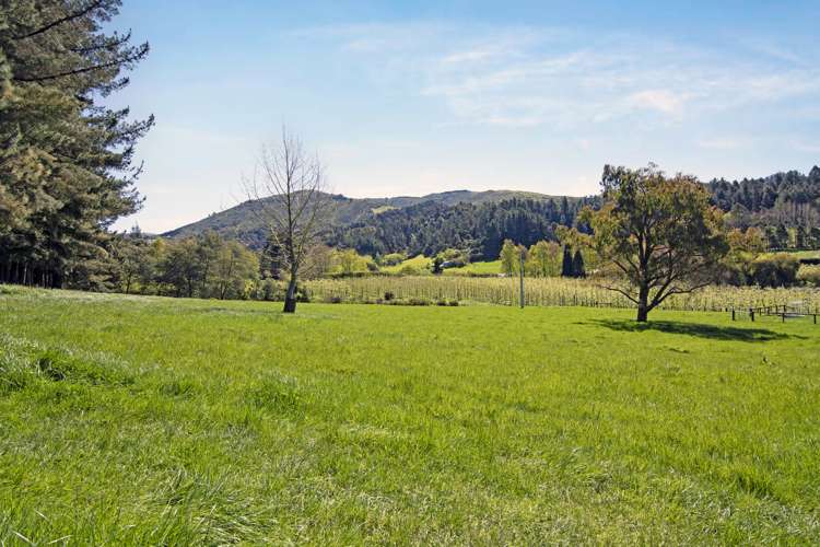 103 Brooklyn Valley Road Motueka_4