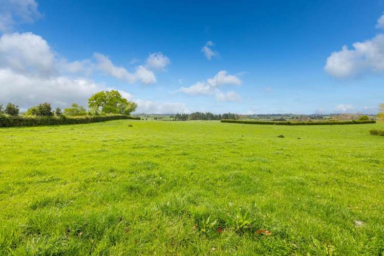 Lot 1 Bird Road Pirongia_5