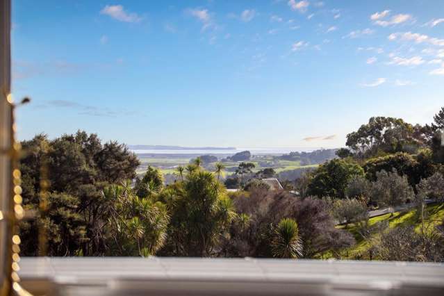 812 Inland Road Helensville_4