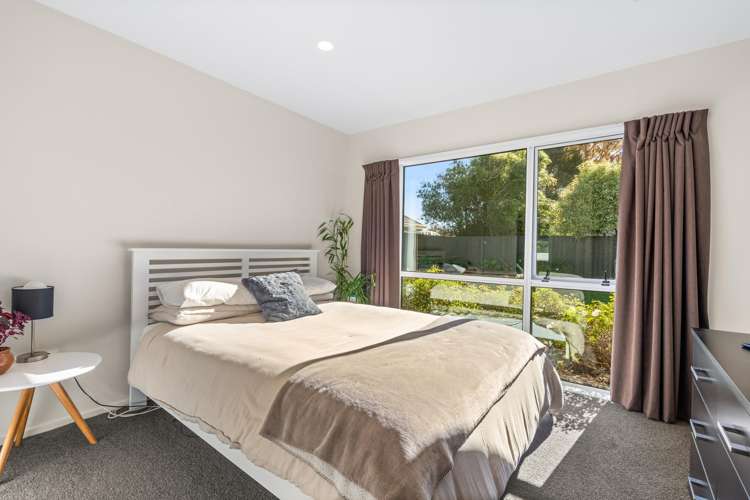 41a Winters Road Redwood_10