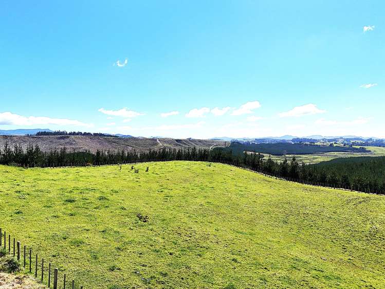 Lot 3 Babylon Coast Road_1