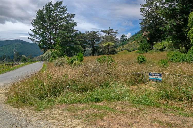 Wakamarina Road Havelock_0