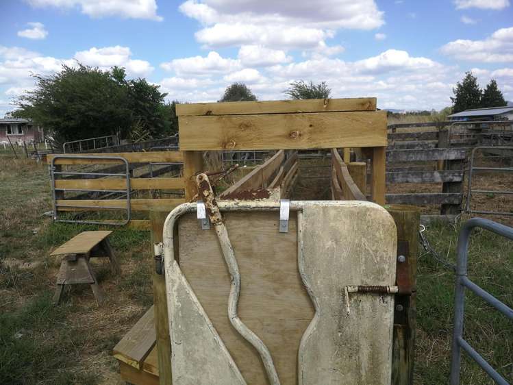 Kereone Road Morrinsville_7