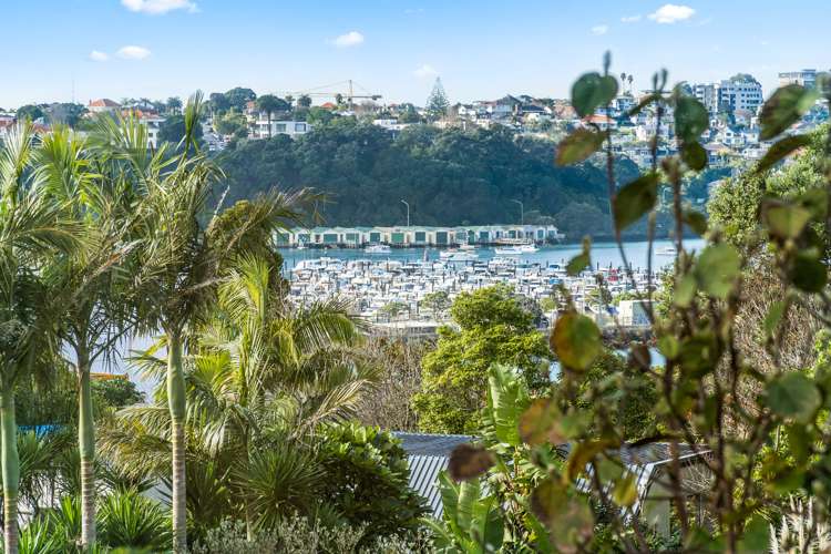 37 Glanville Terrace Parnell_7