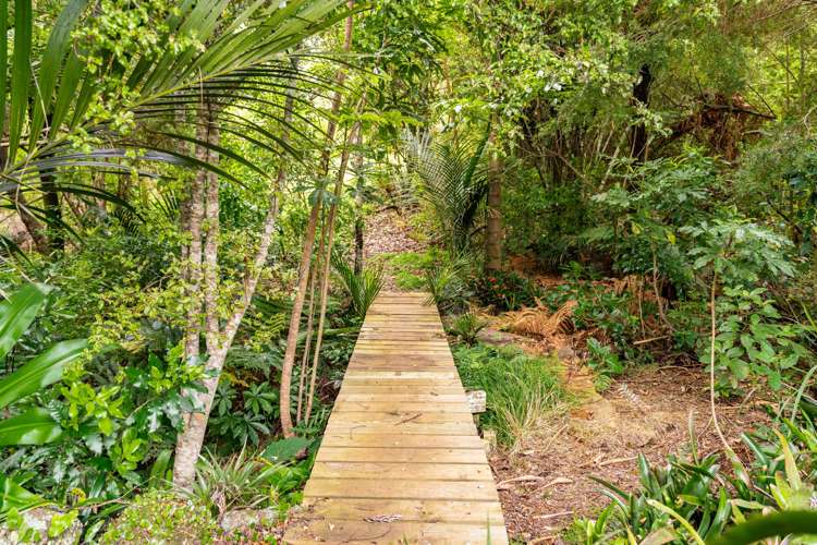 6754 State Highway 12 Waimamaku_9