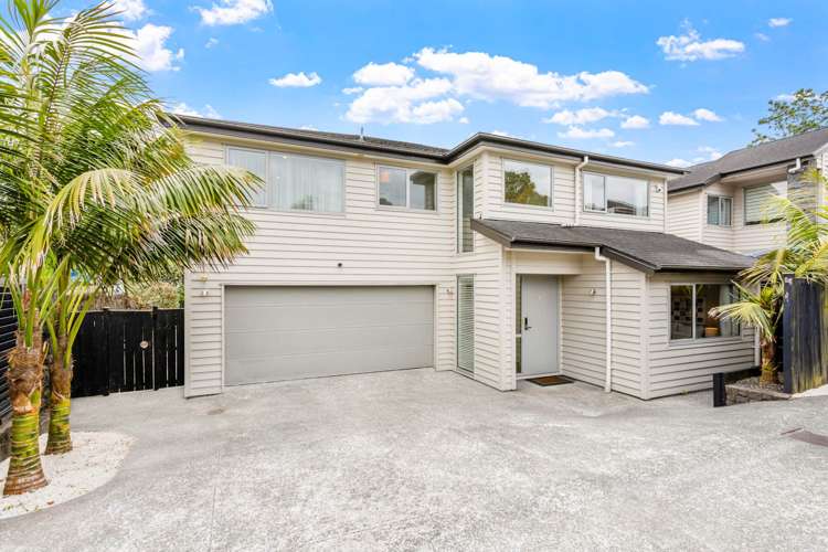 138a Pah Road_0