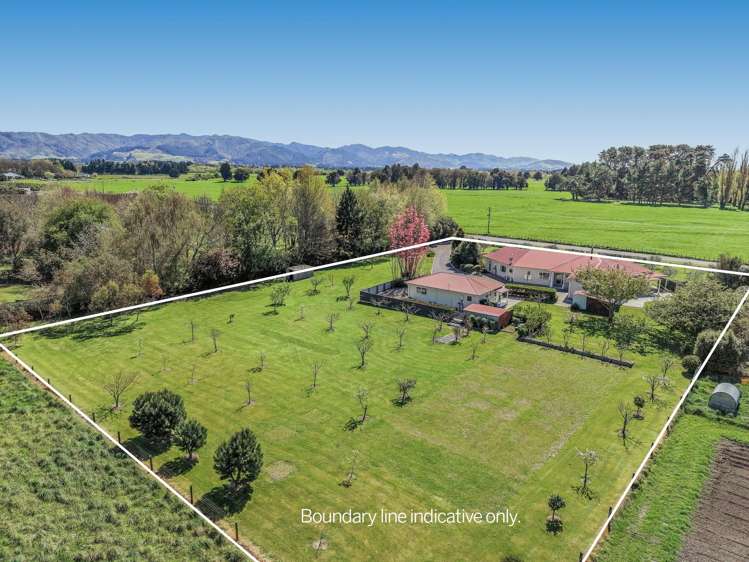 37 North Street Greytown_33