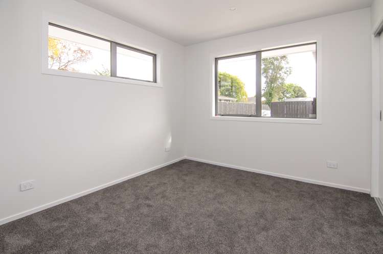 49b Escort Grove Awapuni_10