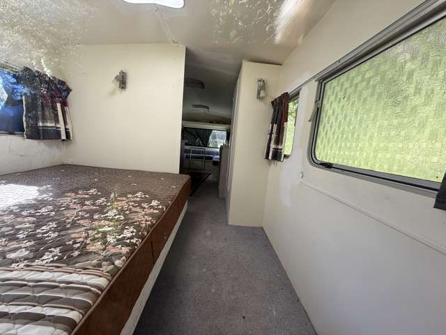 Harrington Mill Road Tahakopa_4