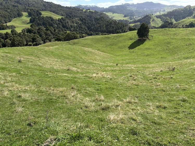 Paraketu Road Waimiha_18