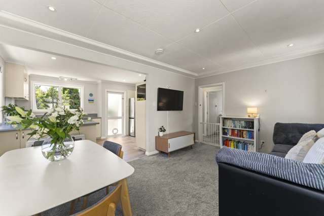 25 Duckworth Street Andersons Bay_2