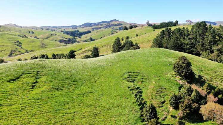 1793 Te Uri Road Rangitikei Surrounds_8