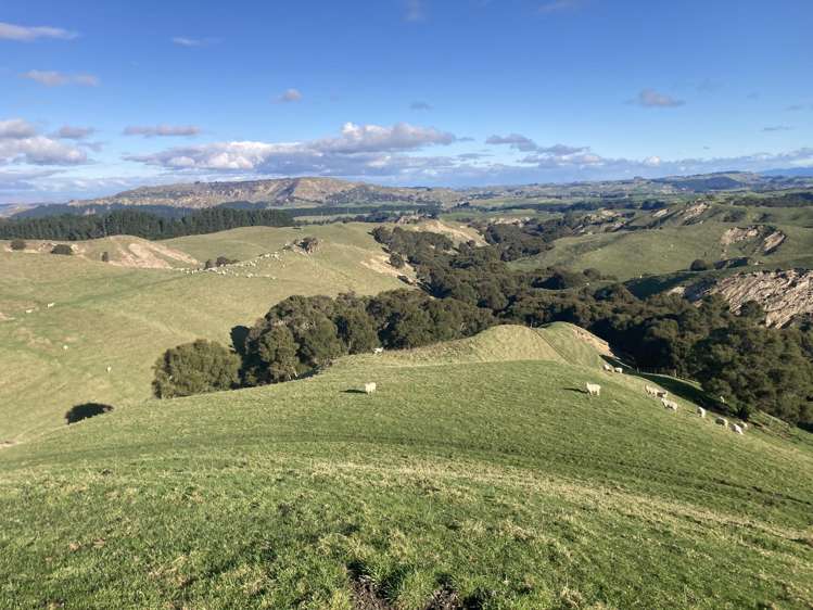 2829 Puketitiri Road Patoka_10