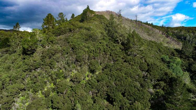 328c Wainui Road Kaeo_25