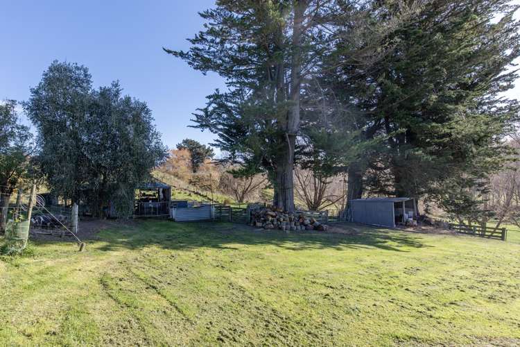 164 Rotohiwi Road Flemington_23