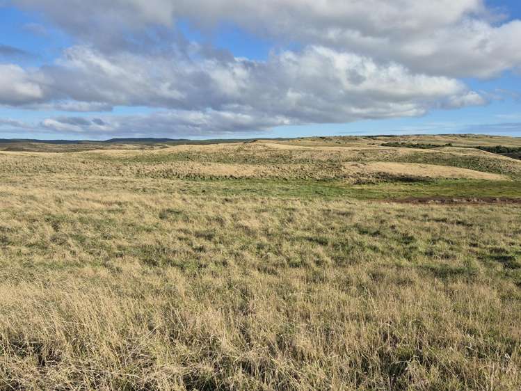 Lot 1-3/546 Waitangi Tuku Road_2