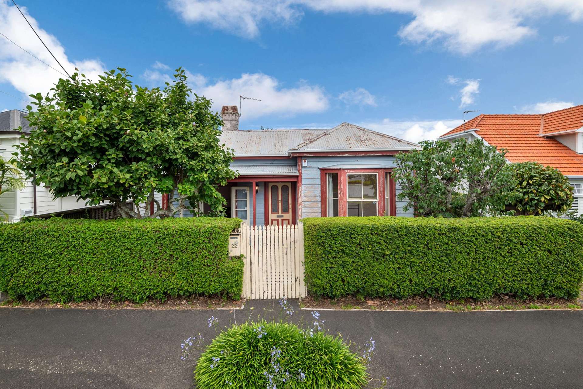 22 Domain Street Devonport_0