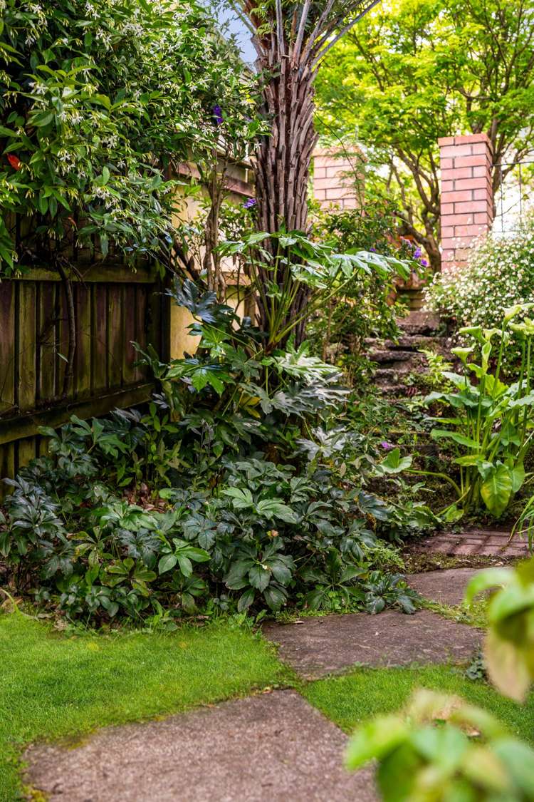 29 Sartors Avenue Northcross_23