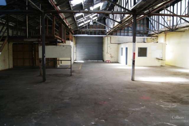 117 Fryatt Street Dunedin Central_3