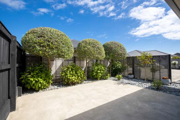 8 Holly Way Tahunanui_12