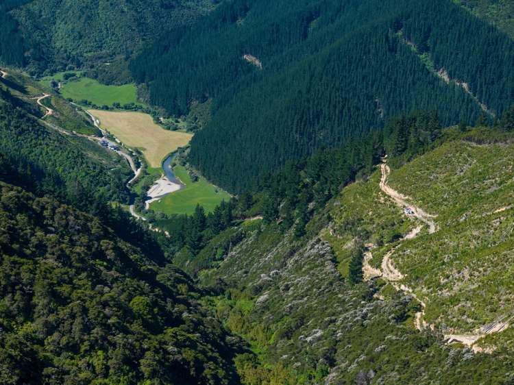 785 Waikakaho Road Tuamarina_40