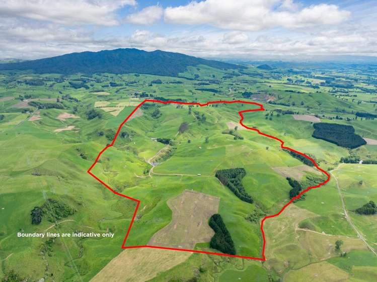 196 Waimanu Road Pukeatua_28